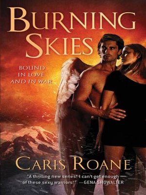 cover image of Burning Skies